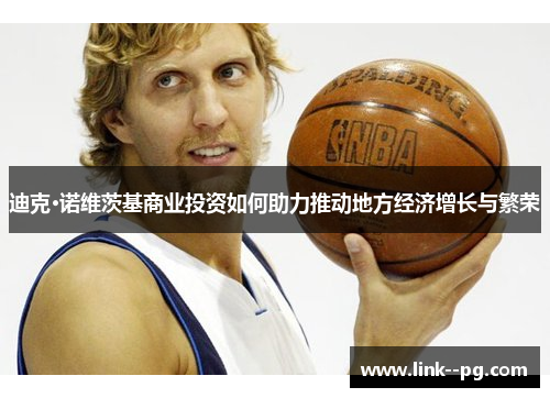 迪克·诺维茨基商业投资如何助力推动地方经济增长与繁荣