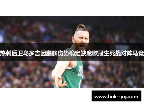 热刺后卫乌多吉因腿筋伤势确定缺席欧冠生死战对阵马竞