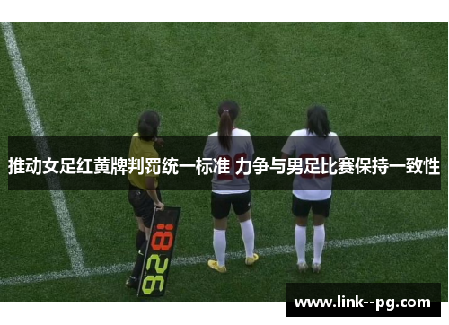 推动女足红黄牌判罚统一标准 力争与男足比赛保持一致性