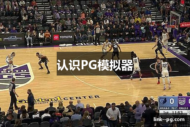 认识PG模拟器